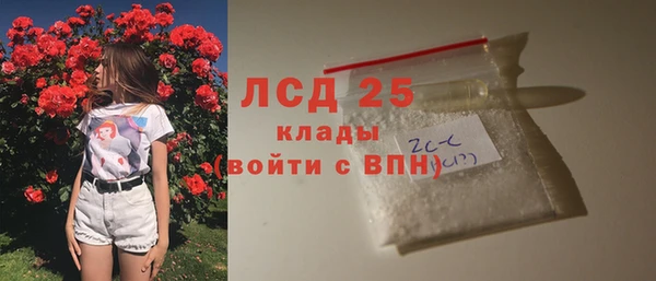 эйфоретик Богданович