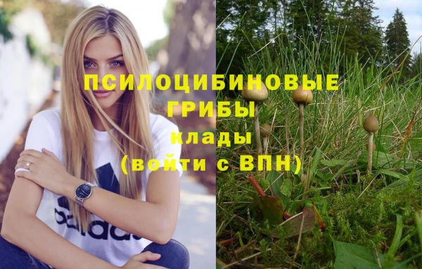 эйфоретик Богданович