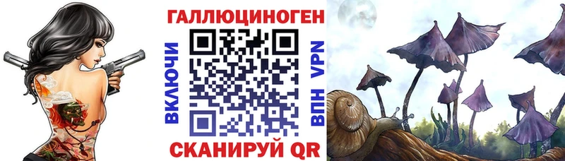 Псилоцибиновые грибы мицелий  MEGA ONION  Кирс 